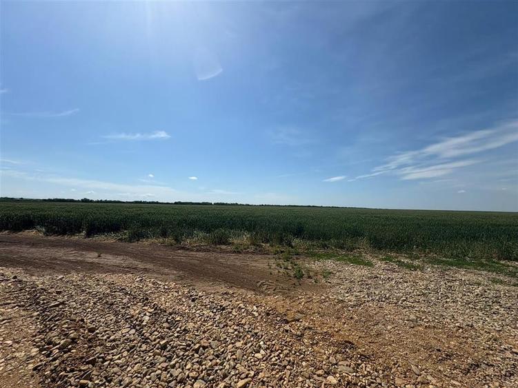 RECO Parcele de Teren Industrial Nojorid - 4