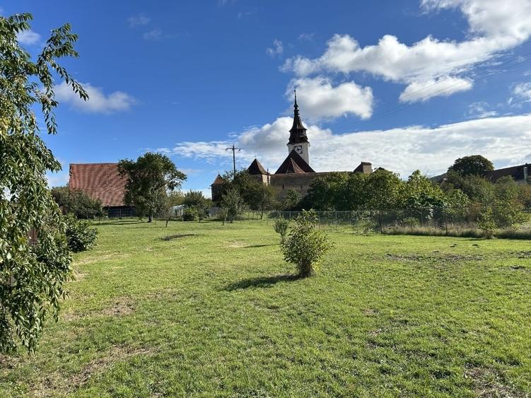 Grădina din Cetate – Un Colț de Istorie și Natură, Doar al Tău - 12