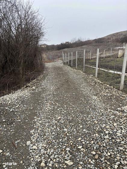 Teren intravilan Borhanci/ zona Gardenia - 3