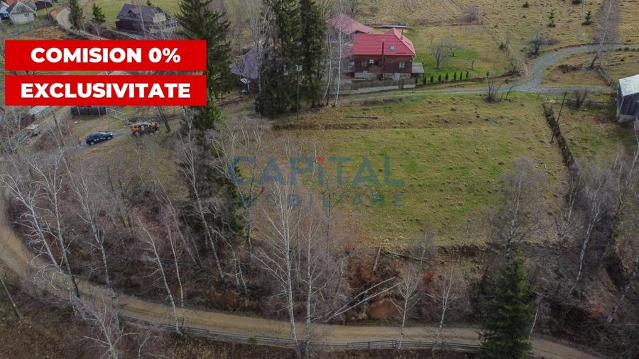 Teren constructie CABANA/CASA,  2980 MP cu utilitati, Dealu Negru, Calatele - 1