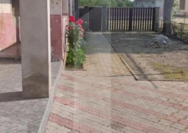 Blitz va ofera spre vanzare casa in Vladimirescu - 1