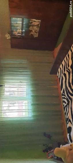 Casa de vanzare - 1