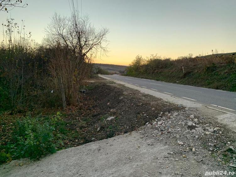 Vand casa mare+65 arii teren intravilan - 3