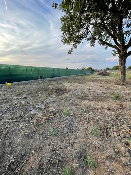 Vand teren in Biharia 3500 mp, str Szent Peter nr 45 - 2