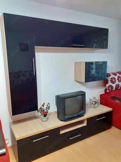 Teiul Doamnei inchiriere garsoniera sectia 7 Politie - 10