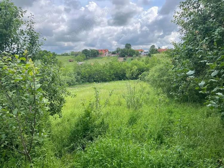 Honorici, Casa Cu Teren, 230 Mp. Suprafata construita, 1.700 Mp. Suprafata teren - 18