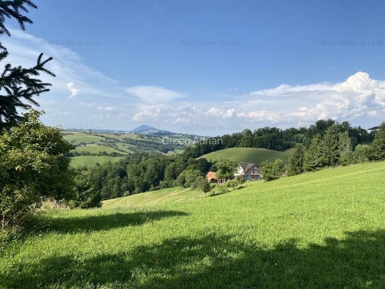 Teren intravilan 3791 mp cu priveliste deosebita si PUZ
