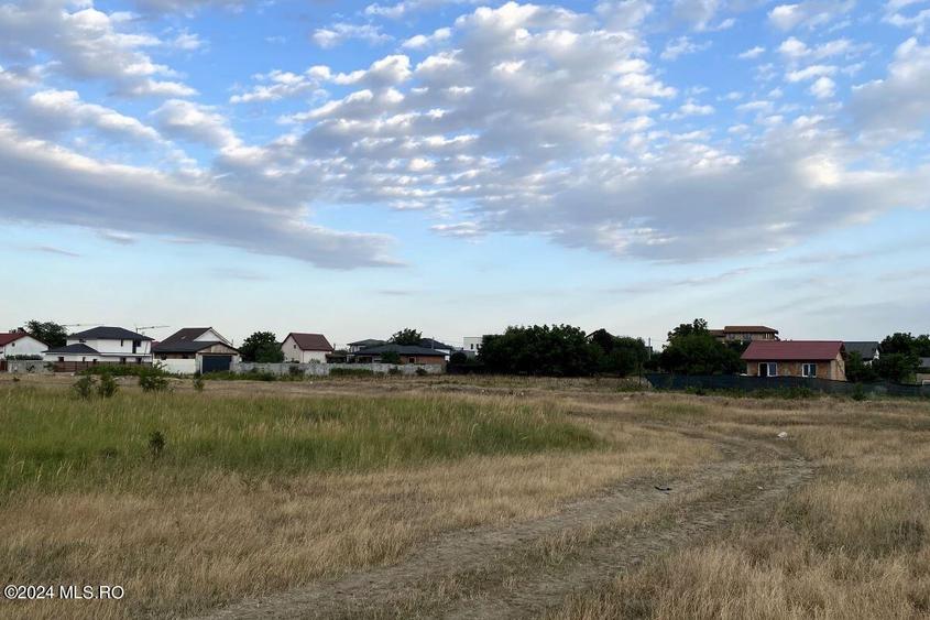 Tamasi, langa padure, 12.824 mp, deschidere 45 ml, teren cu potential! - 8