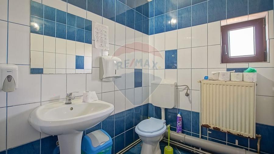 Vilă - DE INCHIRIAT - pentru diverse businessuri - 28