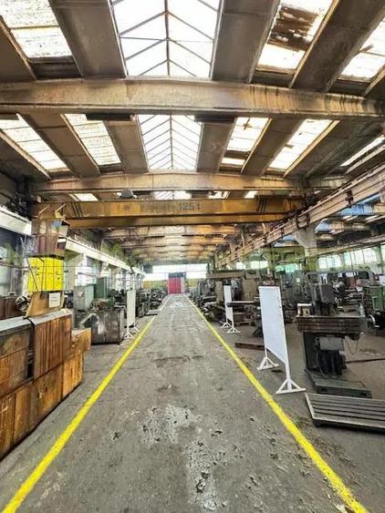 Vaslui, hale si birouri de vanzare - 7