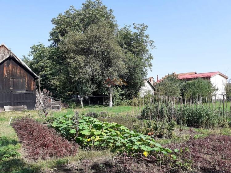 Casa 3 camere, teren 3625 mp, toate utilitatile, Sacele, Brasov - 8