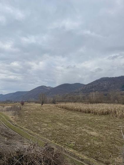 Teren de vanzare pe sesul Rebrisorii - 5