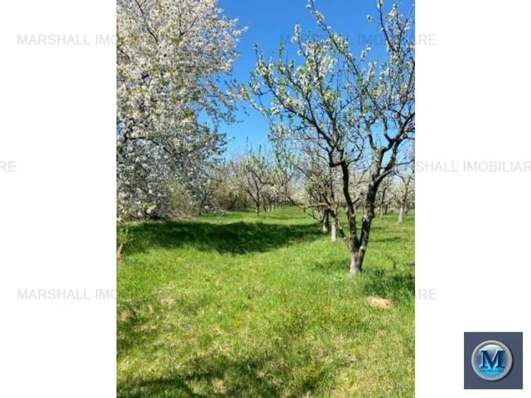 Teren intravilan de vanzare in Baicoi, 4036 mp #15948 - 5