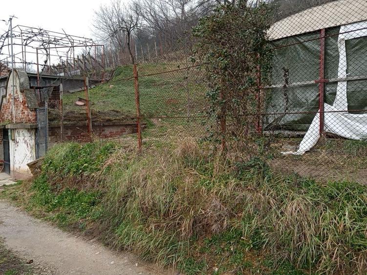 Teren intravilan 500 mp Oradea cu toate utilitatile 32500 euro - 7