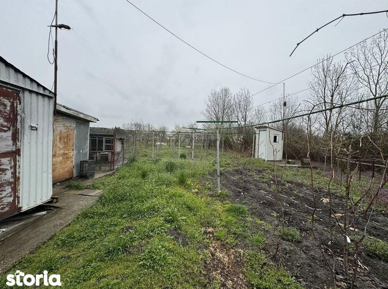 Casa 2 camere | Vucova | 1449 mp teren - 5