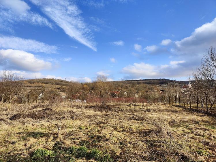 Casa saseasca si 2000 mp teren - 6