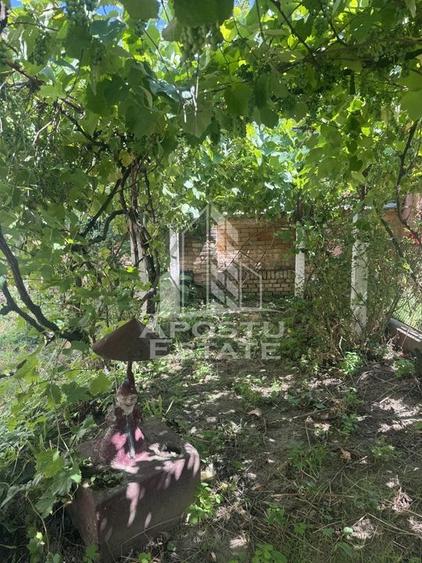 Casă unifamilială cu teren de 1504 mp - 14