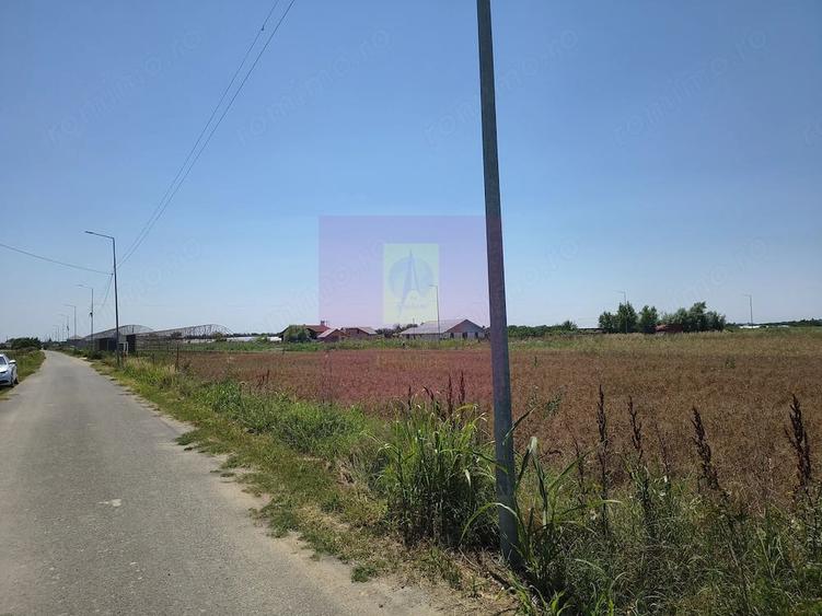 Teren de 582 mp, în Copăceni