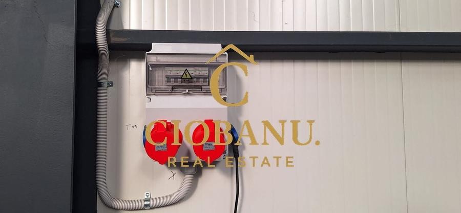 Hala de vanzare in Racari de Jos - 4