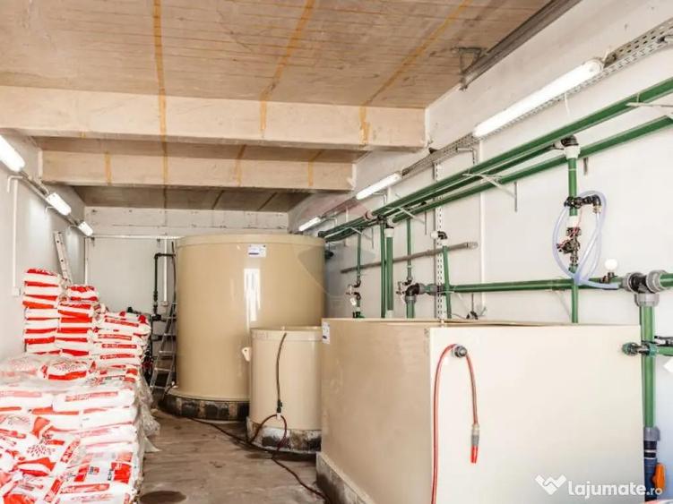 Plantatie de afin din Romania BUSINESS DE VANZARE - 6