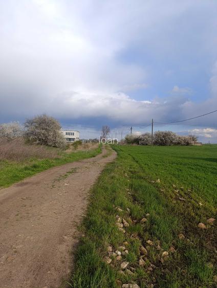 Teren intravilan Costinesti