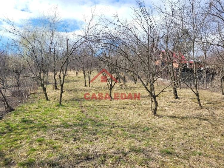 Casă cu Teren 3676 Mp în Poiana