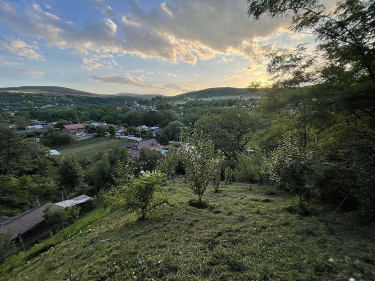 Casă cu 4 camere în Crihan
