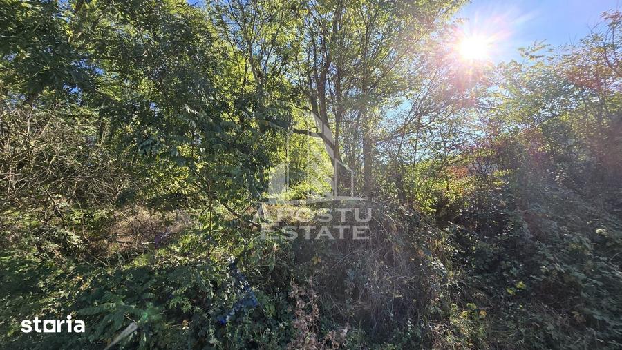 Teren de 3260 mp, în Buteni