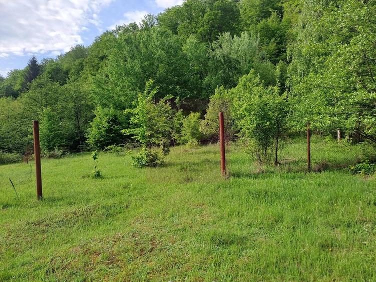 Teren de 834 mp, în Berevoești