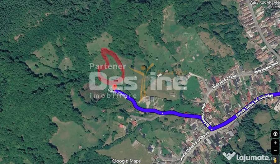 Teren de 5000 mp, în Rucăr