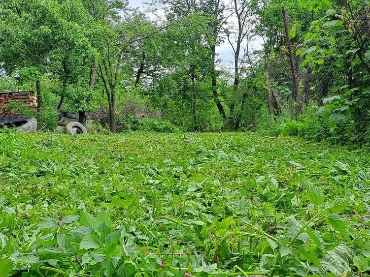 Casă cu 4 camere cu Teren 2000 Mp în Gura Văii