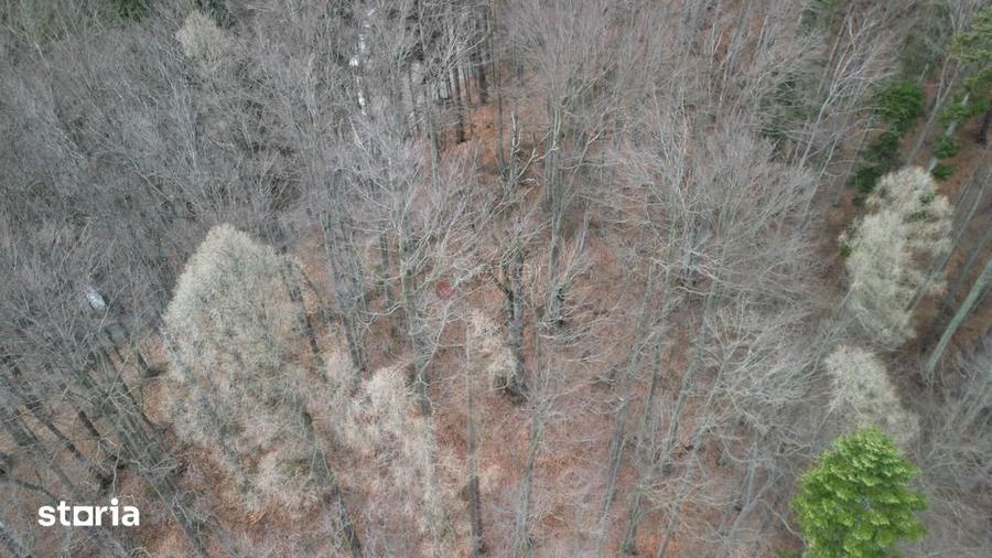 Teren de 1700 mp, în Sinaia