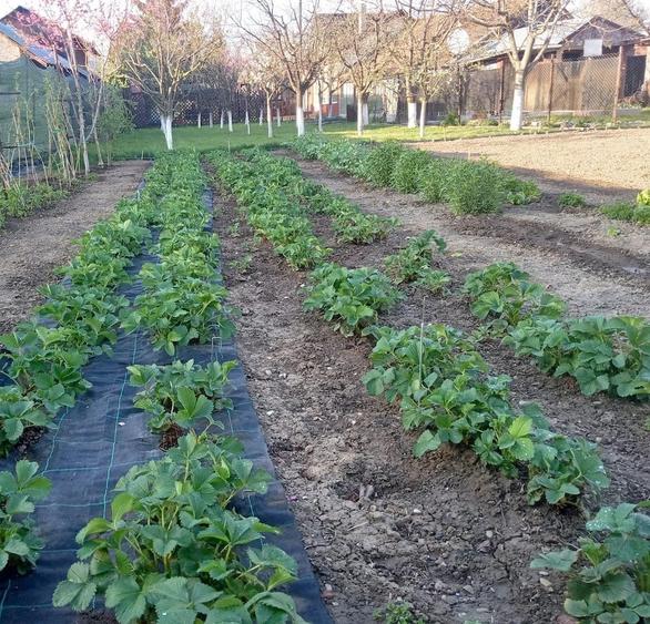 Vand Casa de vanzare in jude?ul Prahova, comuna Dragane?ti, sat Cornu de Jos, str. Principala - 10