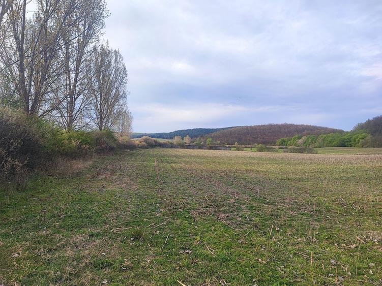 Teren imprejmuit 6,40 ha - 3