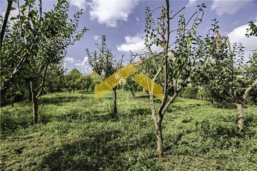 Casa 1000 mp si hala de vanzare Zadareni - 30