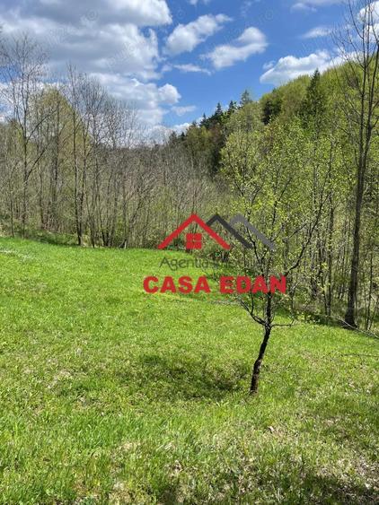 Teren extravilan in Brebu(Pietriceaua)--9104mp--50.000e - 3