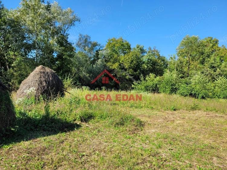 Teren intravilan in Poiana Campina 4285 mp parcelabil 11,6e - 13