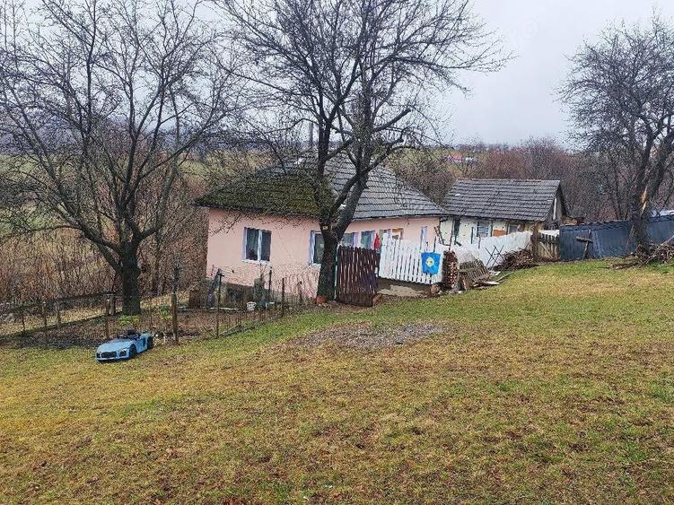 Casa la munte cu teren - 4