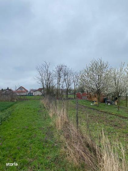 Vanzare teren intravilan Lazuri - 2