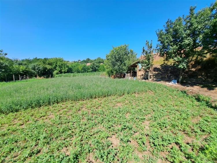 RECO casa dubla Cadea - 20