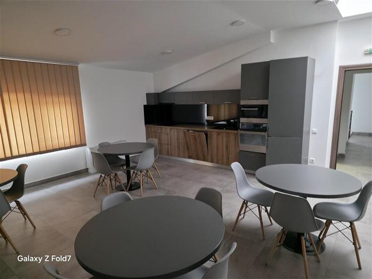 Vanzare depozit/hala/spatiu industrial Theodor Pallady - Drumul Intre Tarlale - - 31