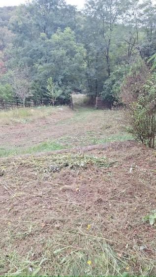 Gradina pe Valea Barzavii - 5