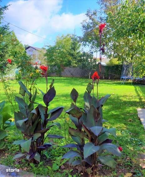 Casa Individuala Ponton / 6 Camere / Snagov - 3