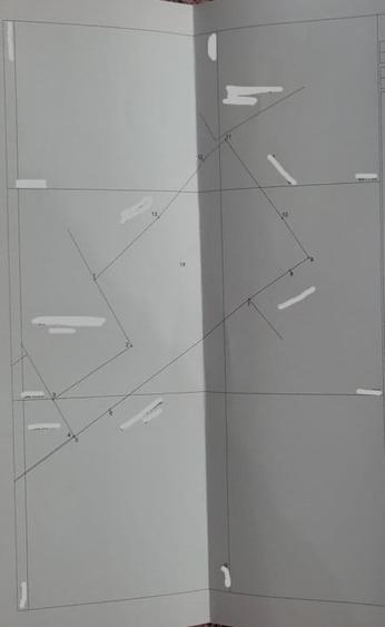 Casa de vanzare Targu Lapus zona centrala cu teren 3800mp si anexe - 4