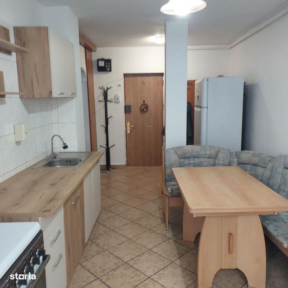 Apartament 2 camere Pet Friendly, complet mobilat si utilat, Lujerului - 6