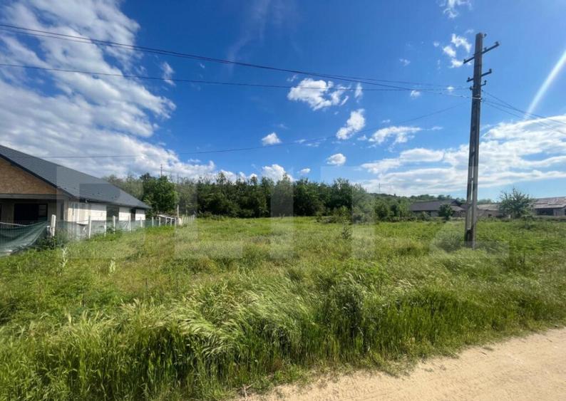 Teren intravilan 800 mp, zona Leamna de Sus - 2