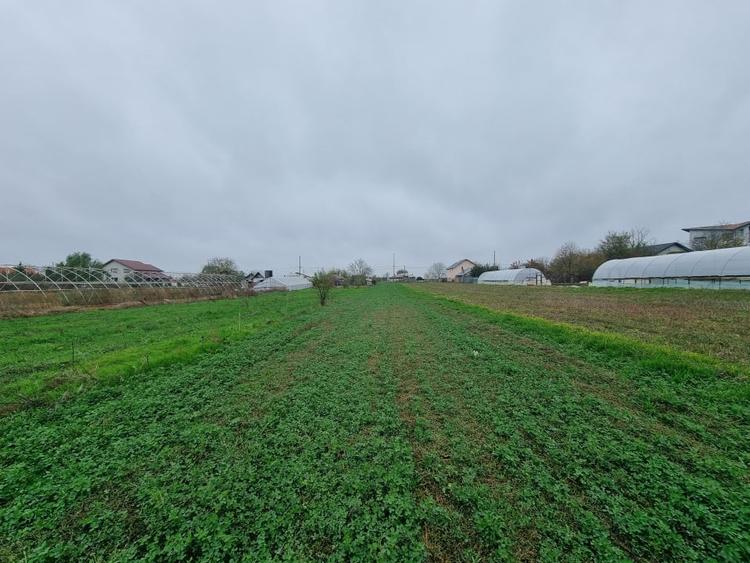 TEREN CASA/ MOGOSESTI GIURGIU - 3