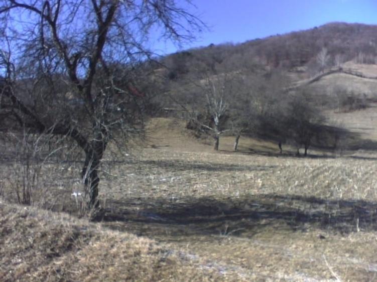 Vând teren Prahova - 4