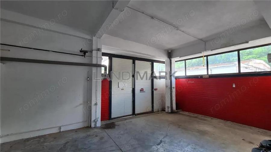 Show room de inchiriat,115 mp sau 320 mp, Zona Lugojului - 3