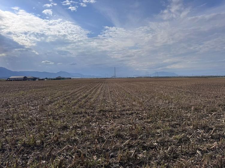 Teren dezvoltare rezidentiala Tarlungeni - zona Izvor - 8